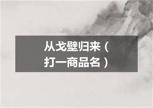 从戈壁归来（打一商品名）