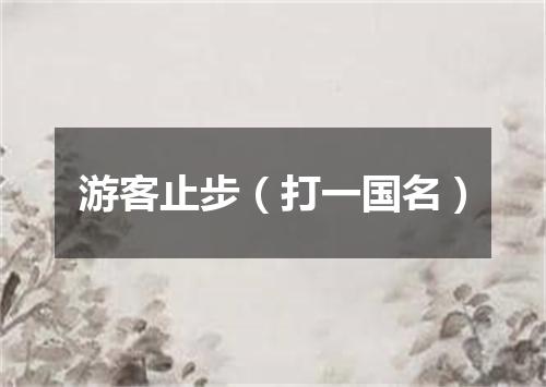 游客止步（打一国名）
