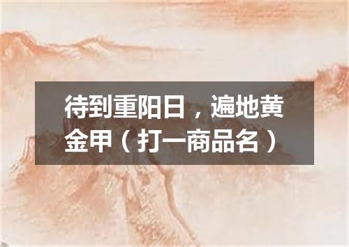 待到重阳日，遍地黄金甲（打一商品名）