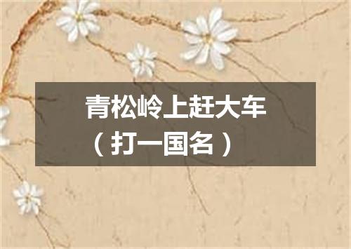 青松岭上赶大车（打一国名）
