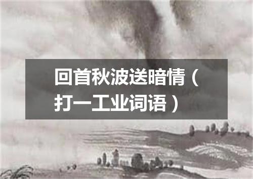 回首秋波送暗情（打一工业词语）