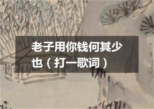 老子用你钱何其少也（打一歌词）