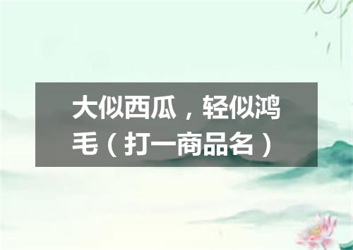 大似西瓜，轻似鸿毛（打一商品名）