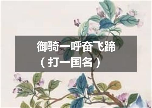 御骑一呼奋飞蹄（打一国名）