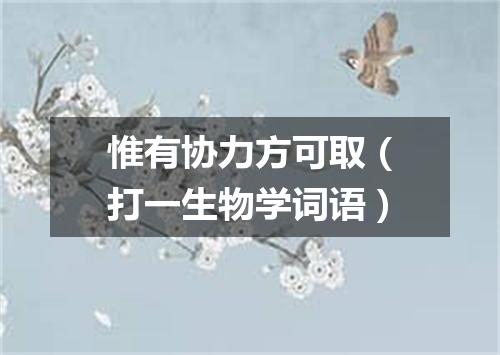 惟有协力方可取（打一生物学词语）