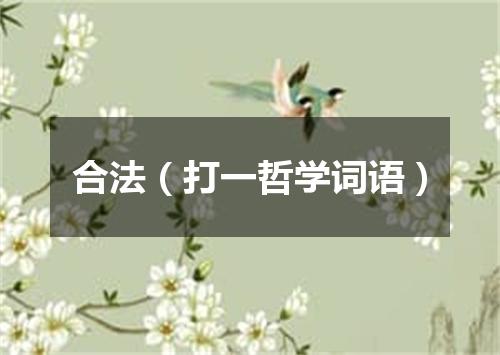 合法（打一哲学词语）