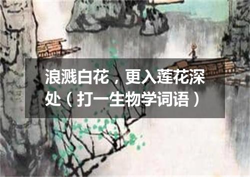 浪溅白花，更入莲花深处（打一生物学词语）