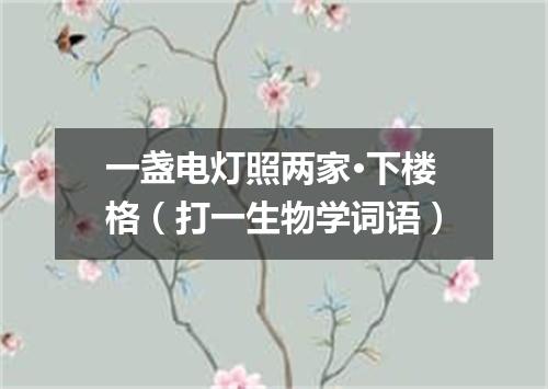 一盏电灯照两家·下楼格（打一生物学词语）