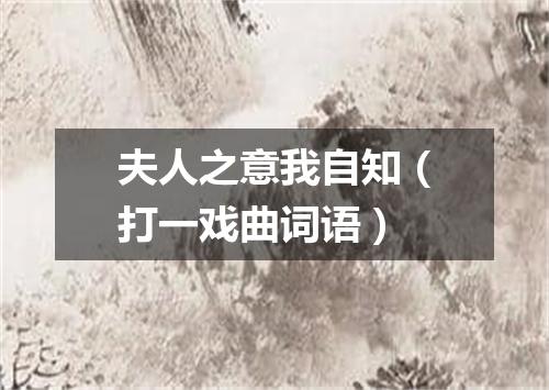 夫人之意我自知（打一戏曲词语）
