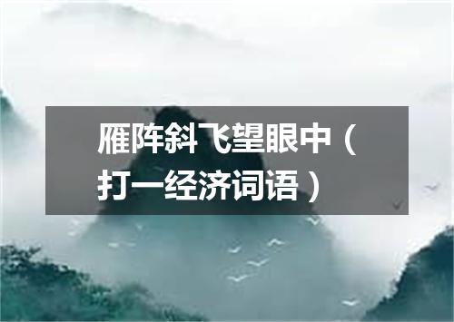 雁阵斜飞望眼中（打一经济词语）