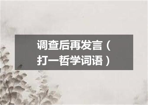 调查后再发言（打一哲学词语）