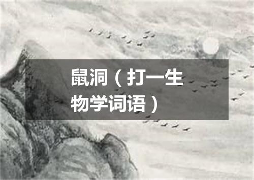 鼠洞（打一生物学词语）