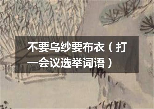 不要乌纱要布衣（打一会议选举词语）