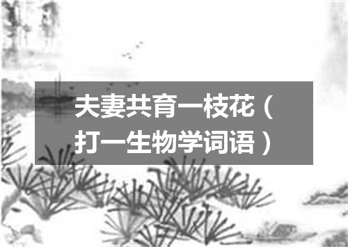 夫妻共育一枝花（打一生物学词语）
