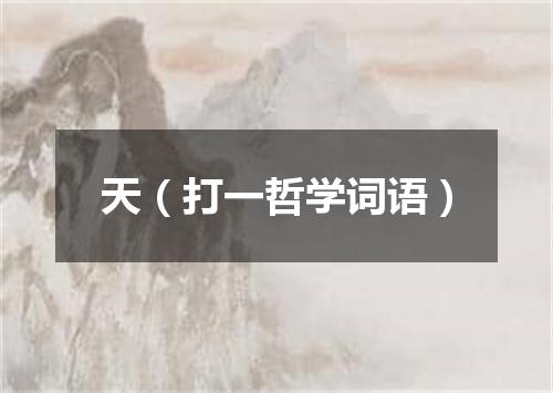天（打一哲学词语）