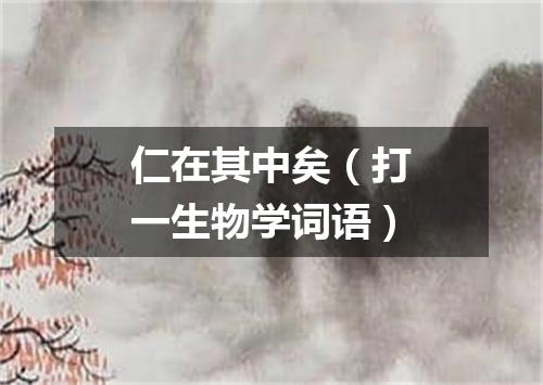 仁在其中矣（打一生物学词语）