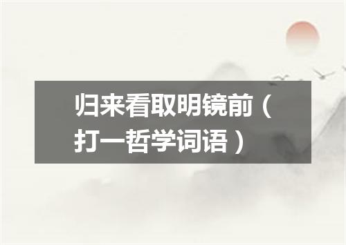 归来看取明镜前（打一哲学词语）