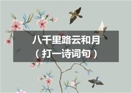 八千里路云和月（打一诗词句）