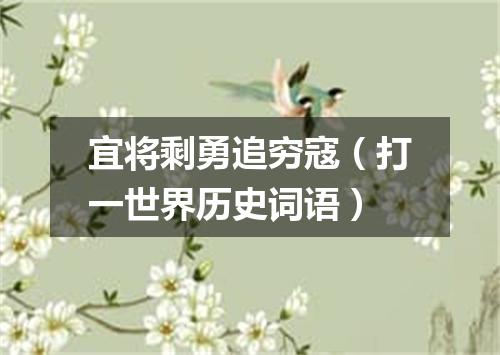 宜将剩勇追穷寇（打一世界历史词语）