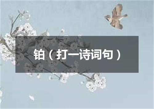 铂（打一诗词句）