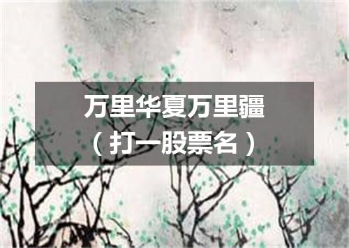 万里华夏万里疆（打一股票名）