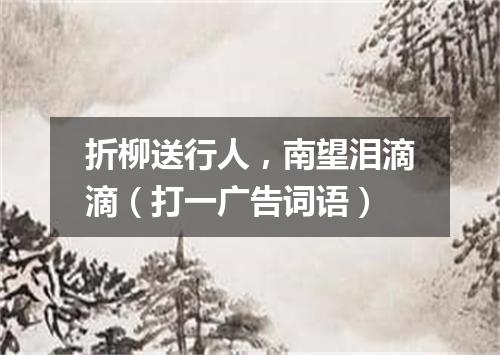 折柳送行人，南望泪滴滴（打一广告词语）