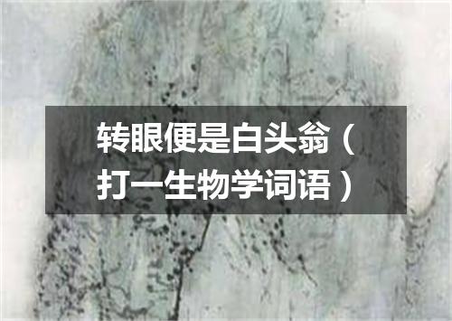转眼便是白头翁（打一生物学词语）