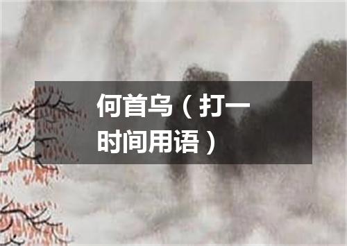 何首乌（打一时间用语）