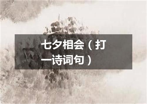 七夕相会（打一诗词句）
