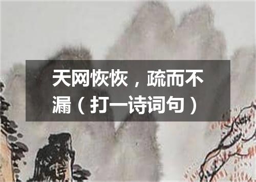 天网恢恢，疏而不漏（打一诗词句）
