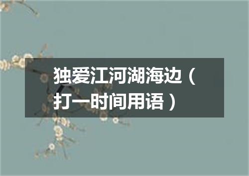 独爱江河湖海边（打一时间用语）