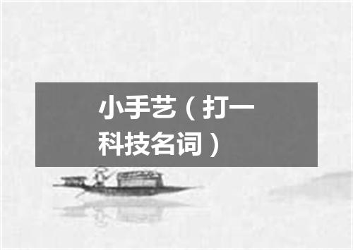小手艺（打一科技名词）