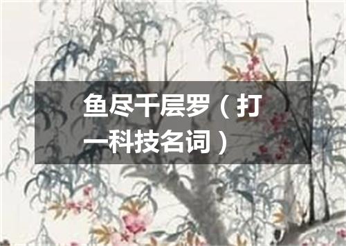 鱼尽千层罗（打一科技名词）