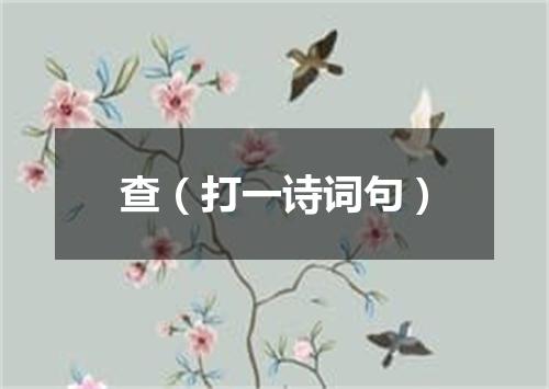 查（打一诗词句）