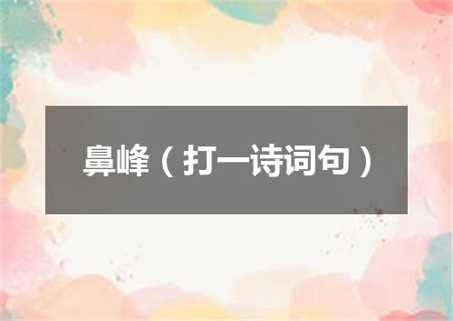 鼻峰（打一诗词句）