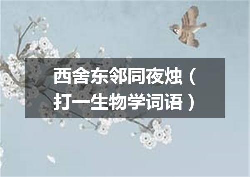西舍东邻同夜烛（打一生物学词语）