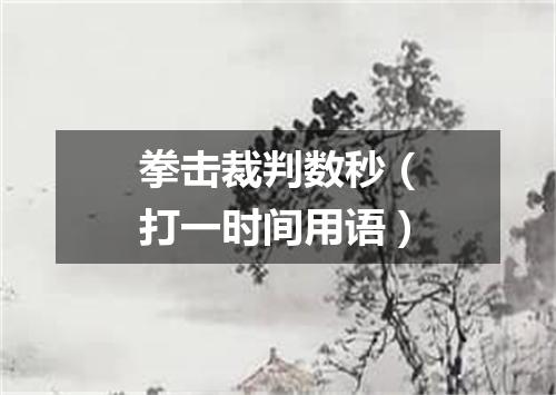 拳击裁判数秒（打一时间用语）
