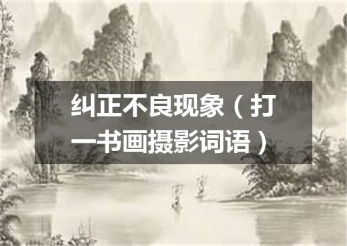 纠正不良现象（打一书画摄影词语）