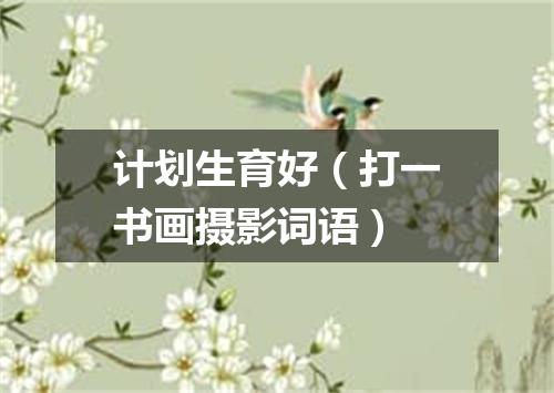 计划生育好（打一书画摄影词语）