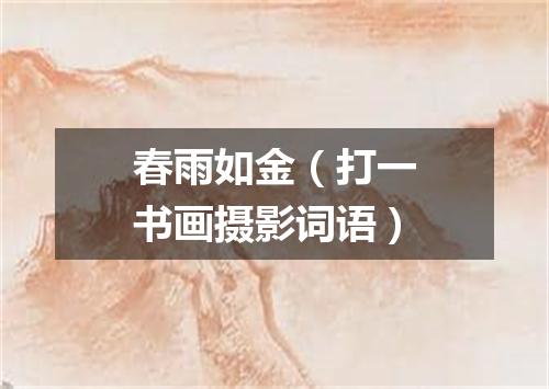 春雨如金（打一书画摄影词语）