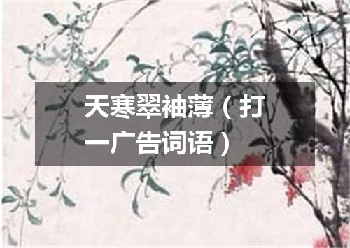 天寒翠袖薄（打一广告词语）