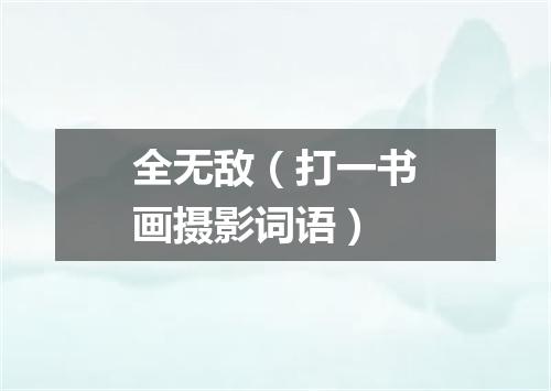 全无敌（打一书画摄影词语）