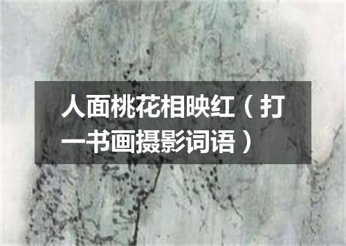 人面桃花相映红（打一书画摄影词语）