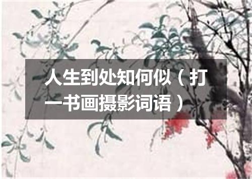 人生到处知何似（打一书画摄影词语）