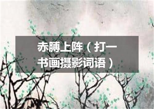 赤膊上阵（打一书画摄影词语）