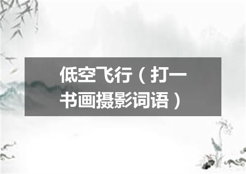 低空飞行（打一书画摄影词语）