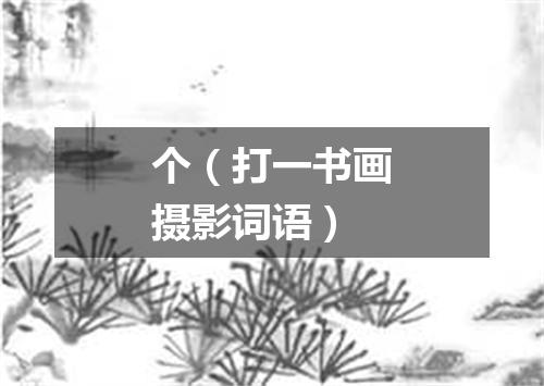 个（打一书画摄影词语）