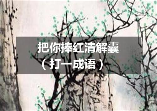 把你捧红清解囊（打一成语）
