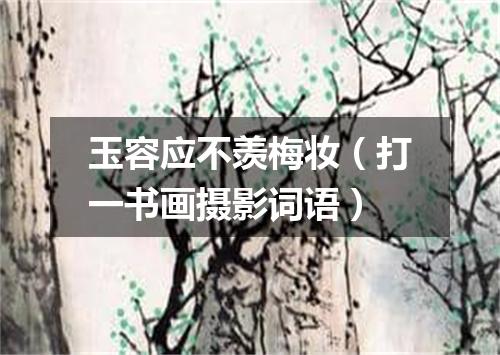 玉容应不羡梅妆（打一书画摄影词语）