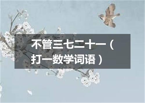 不管三七二十一（打一数学词语）